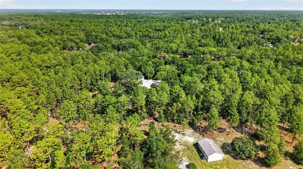 9000 SW 203rd Court Dunnellon FL 34431