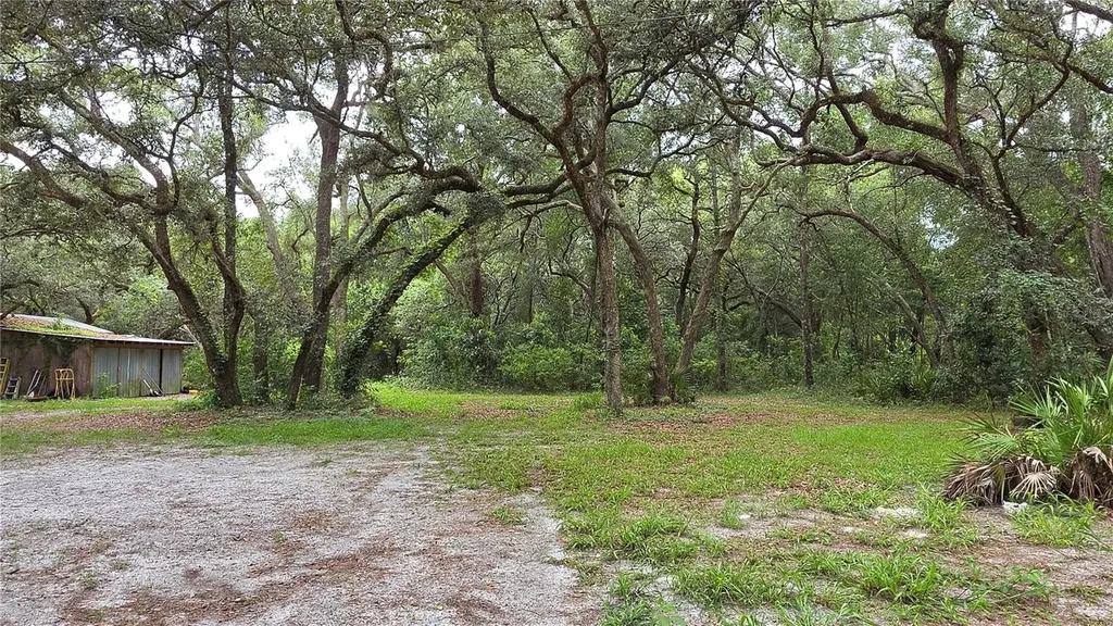 12590 NW 82nd Court Chiefland FL 32626