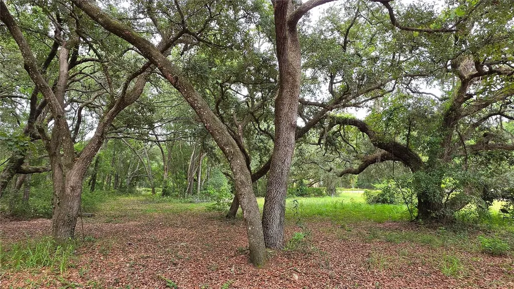 12590 NW 82nd Court Chiefland FL 32626