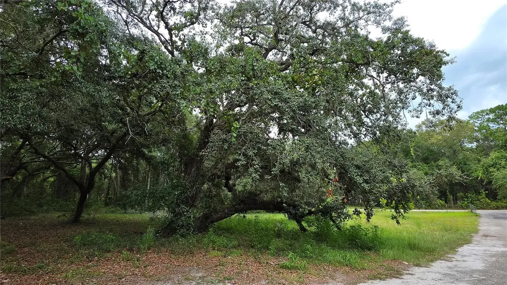12590 NW 82nd Court Chiefland FL 32626