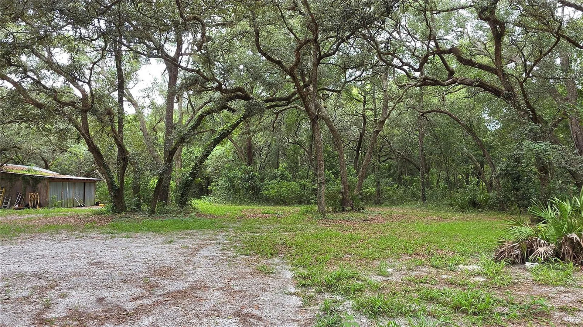 12590 NW 82nd Court Chiefland FL 32626