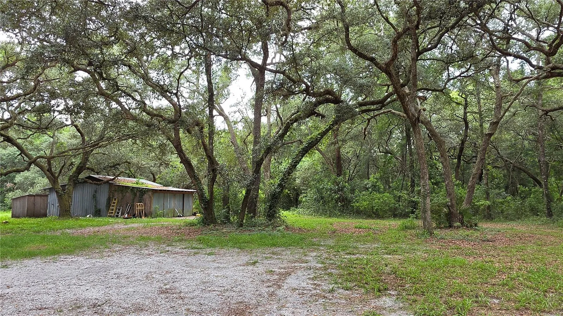 12590 NW 82nd Court Chiefland FL 32626