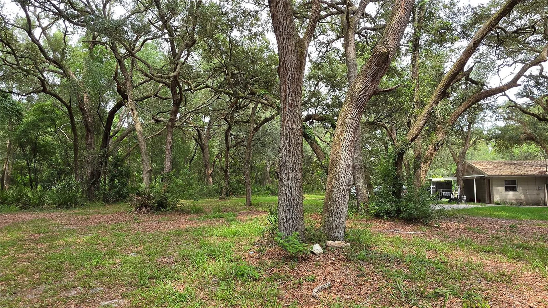 12590 NW 82nd Court Chiefland FL 32626