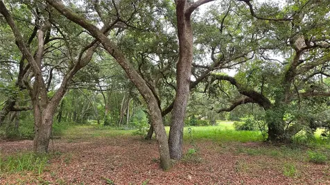 12590 NW 82nd Court Chiefland FL 32626