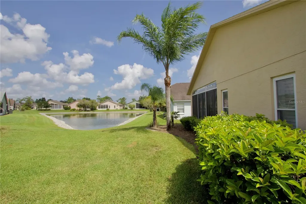 1146 Dustan Place Trinity FL 34655