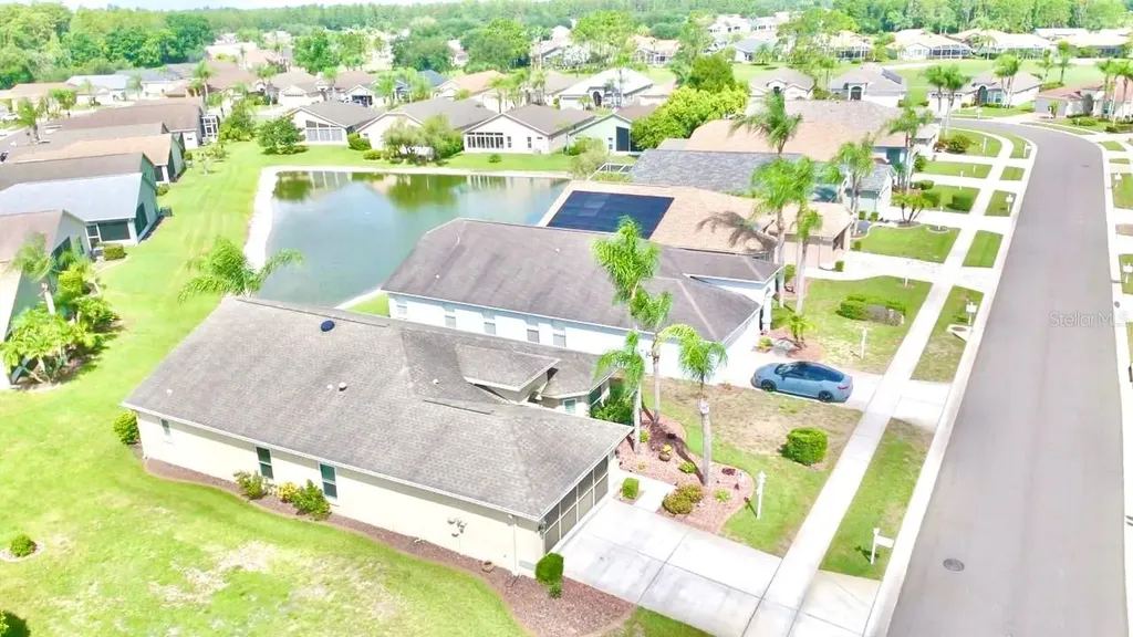 1146 Dustan Place Trinity FL 34655