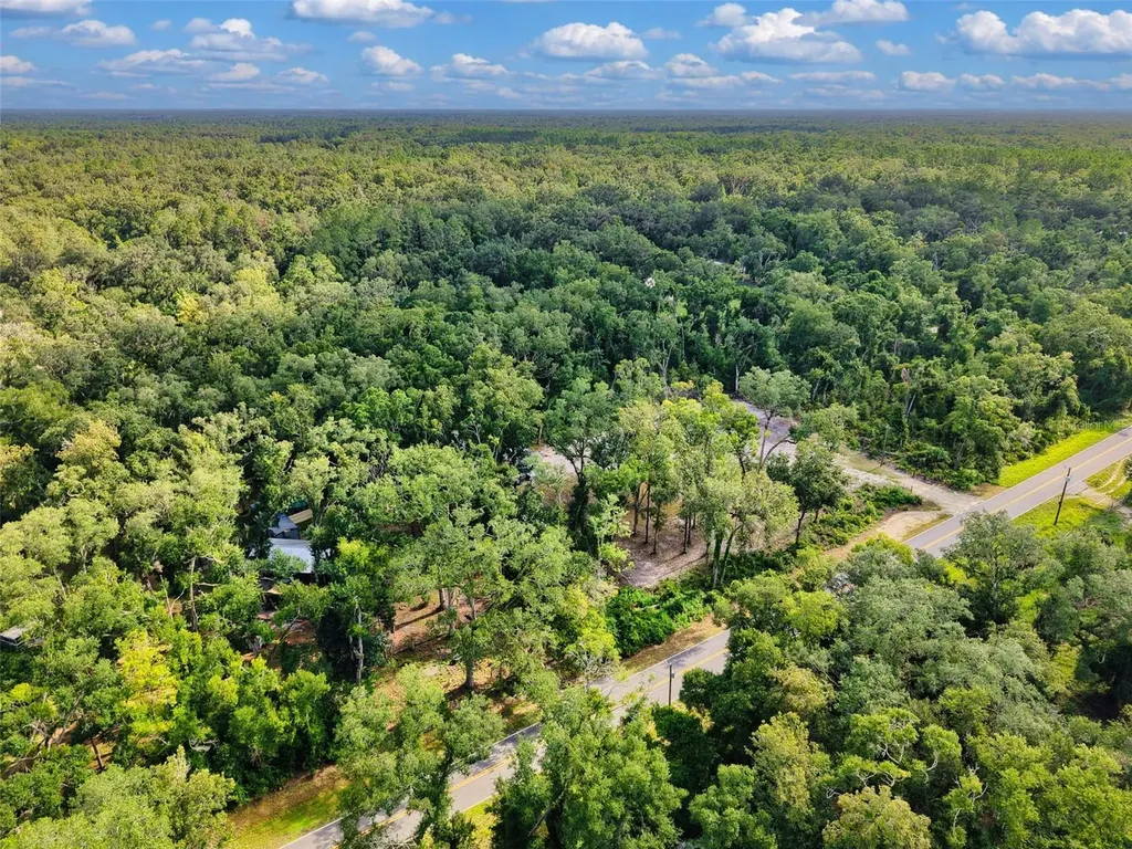 311 NE 316th Avenue Old Town FL 32680