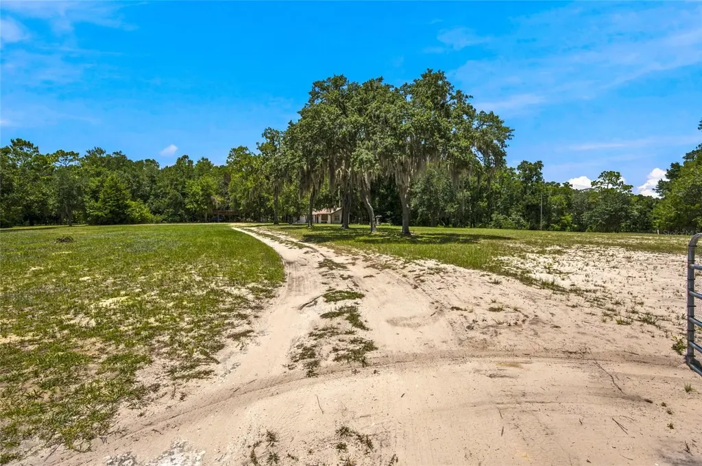 13051 NE 60th Street Williston FL 32696