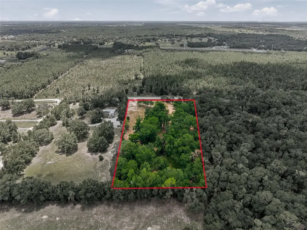 13051 NE 60th Street Williston FL 32696