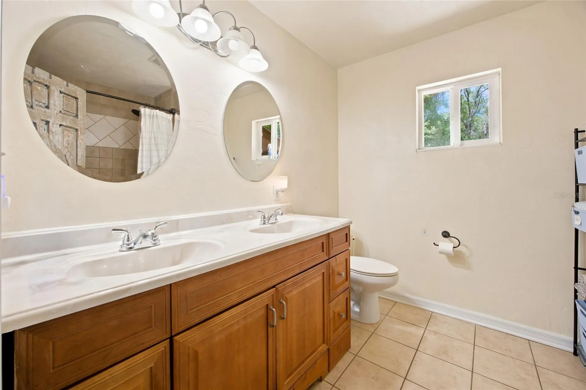 13051 NE 60th Street Williston FL 32696