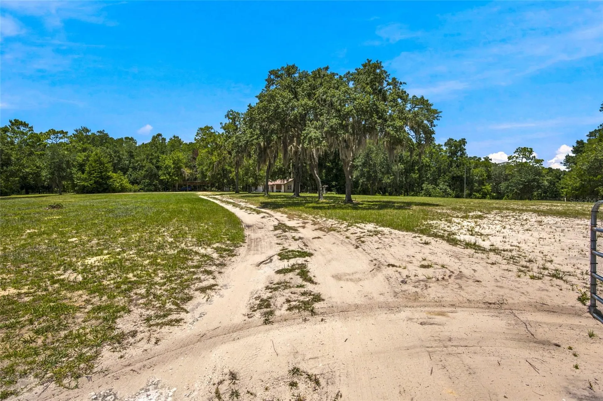 13051 NE 60th Street Williston FL 32696