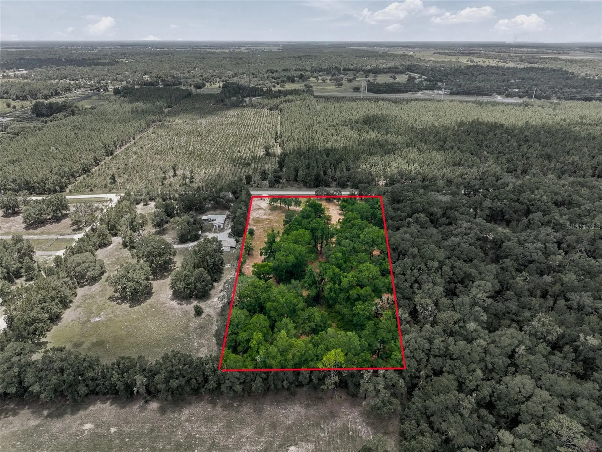 13051 NE 60th Street Williston FL 32696