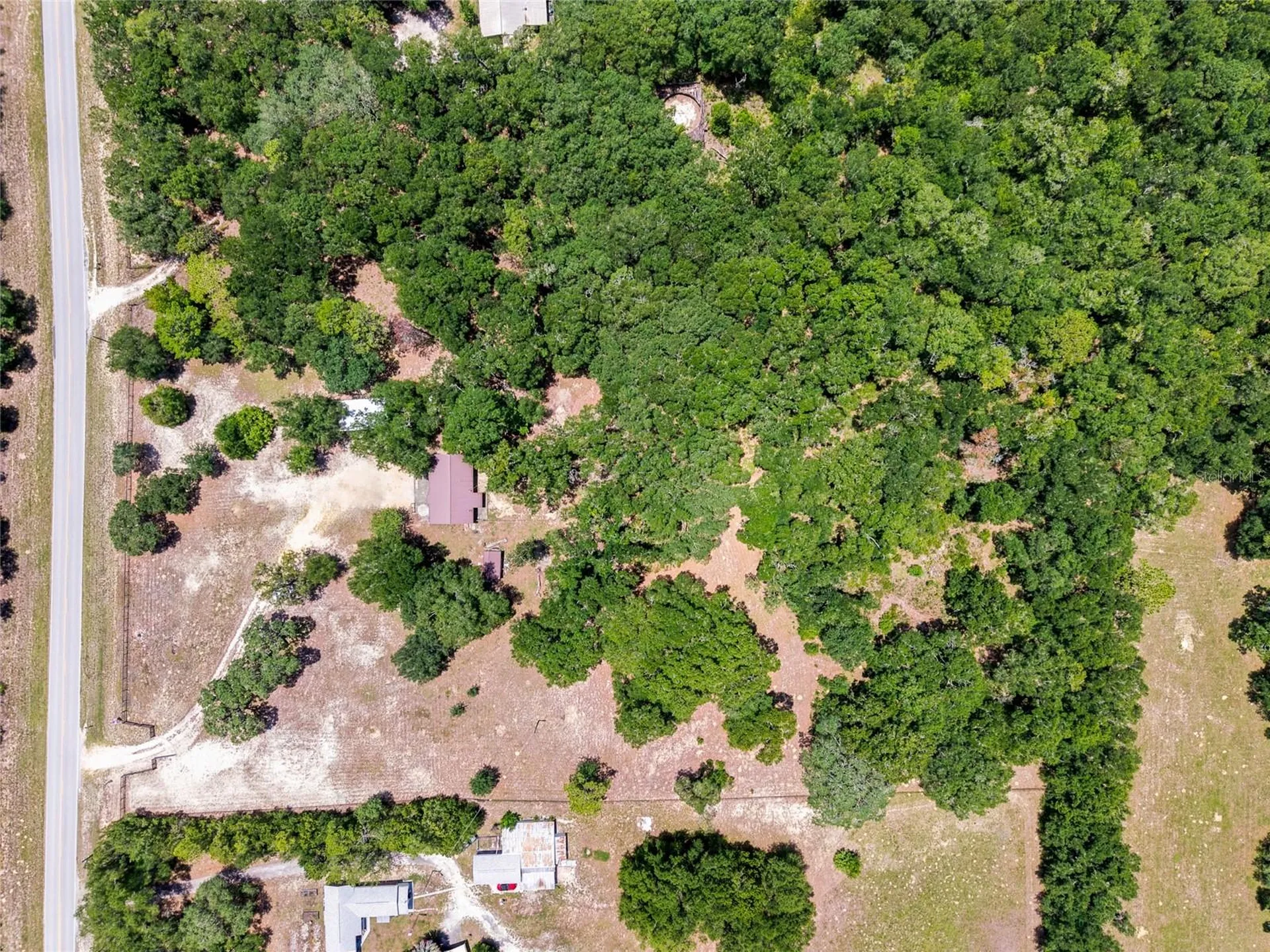 13051 NE 60th Street Williston FL 32696