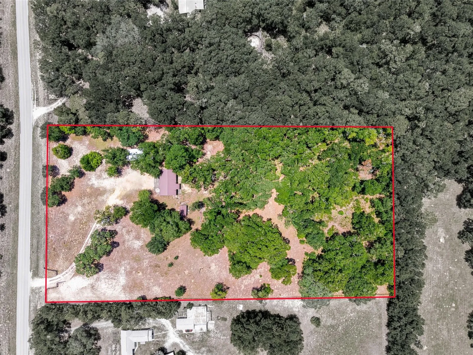 13051 NE 60th Street Williston FL 32696