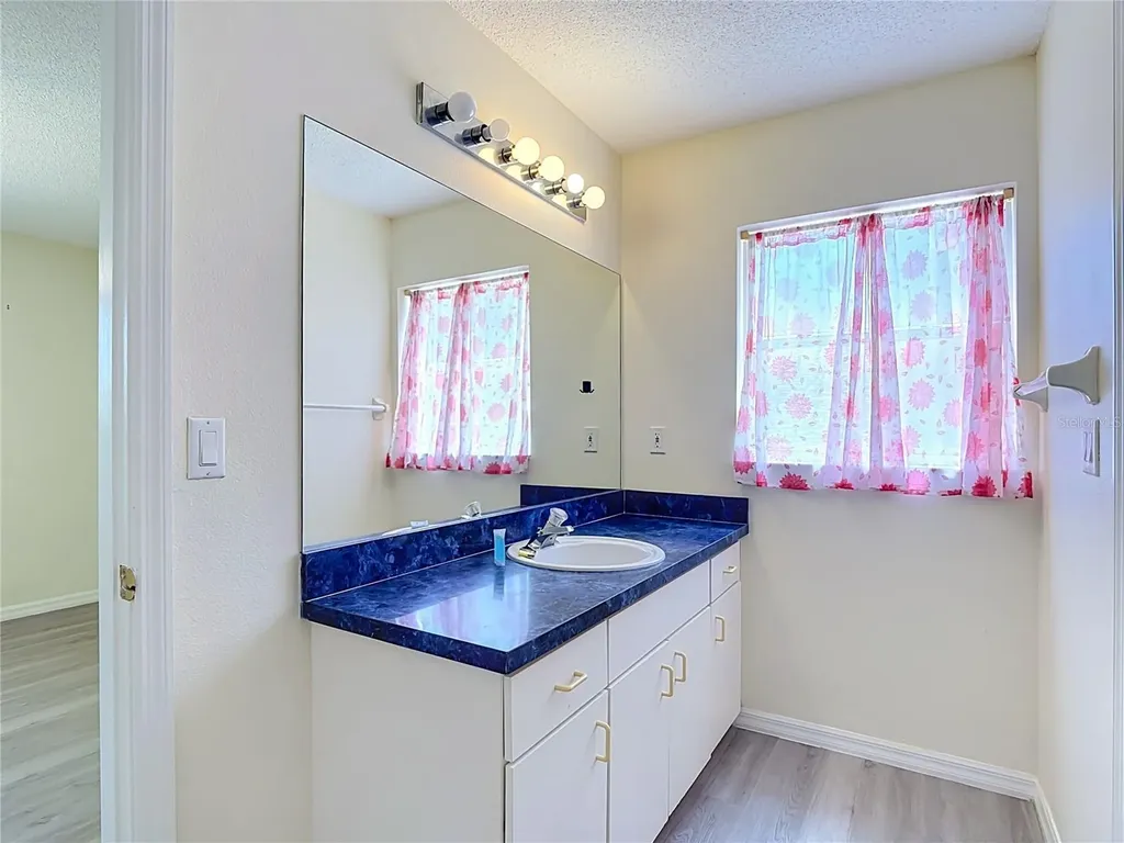 15405 Margaux Drive Clermont FL 34714