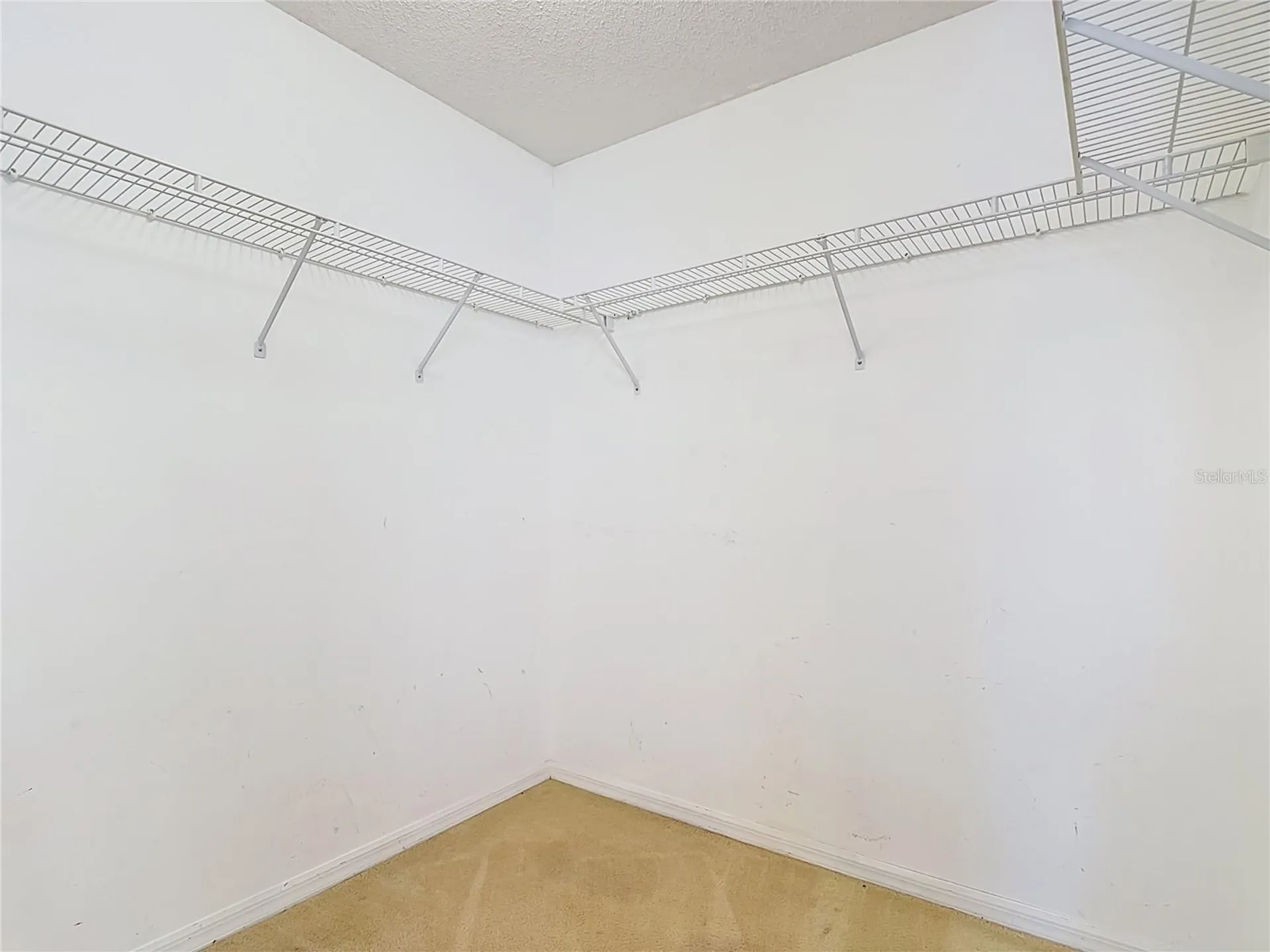 15405 Margaux Drive Clermont FL 34714