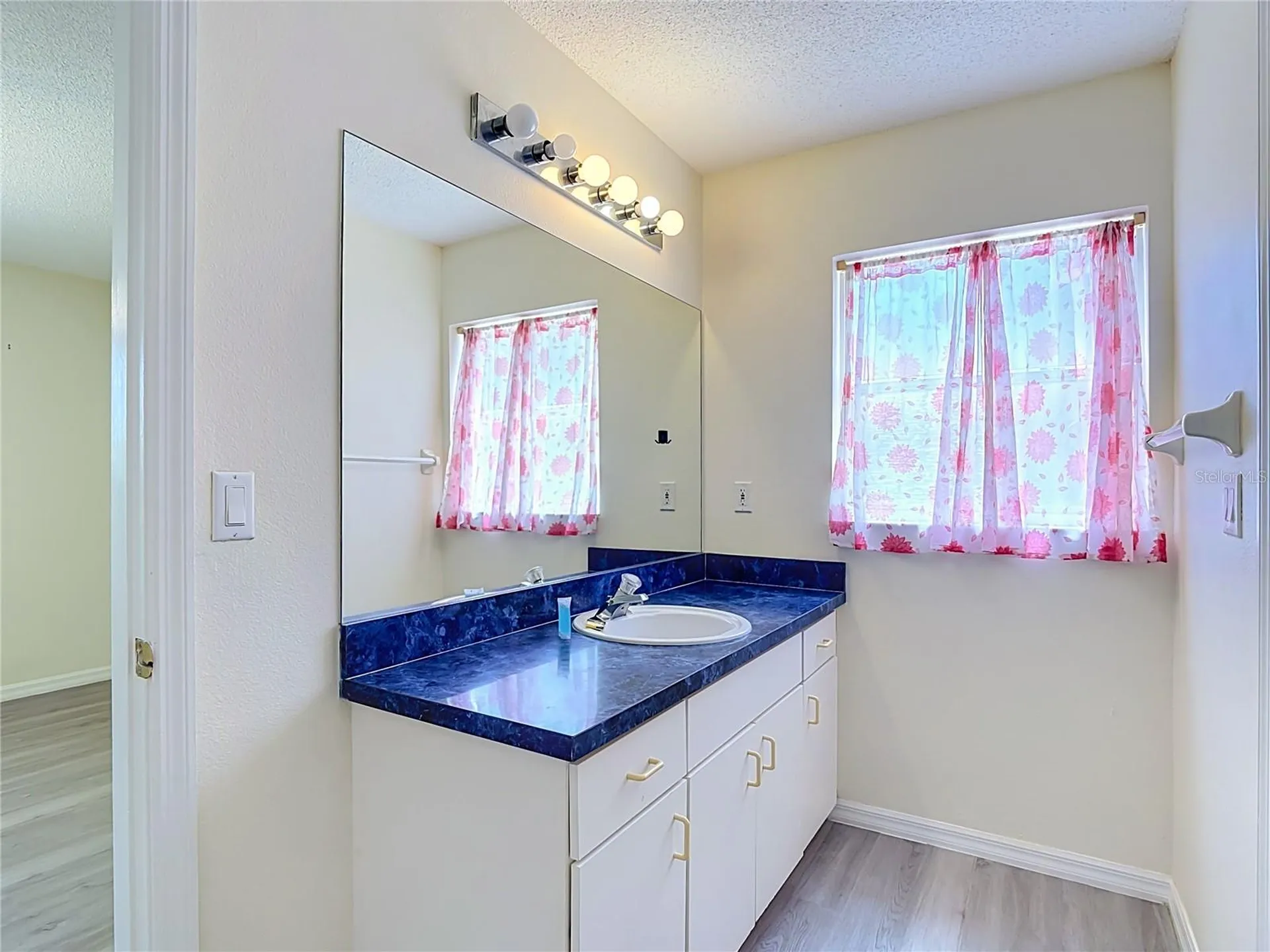 15405 Margaux Drive Clermont FL 34714
