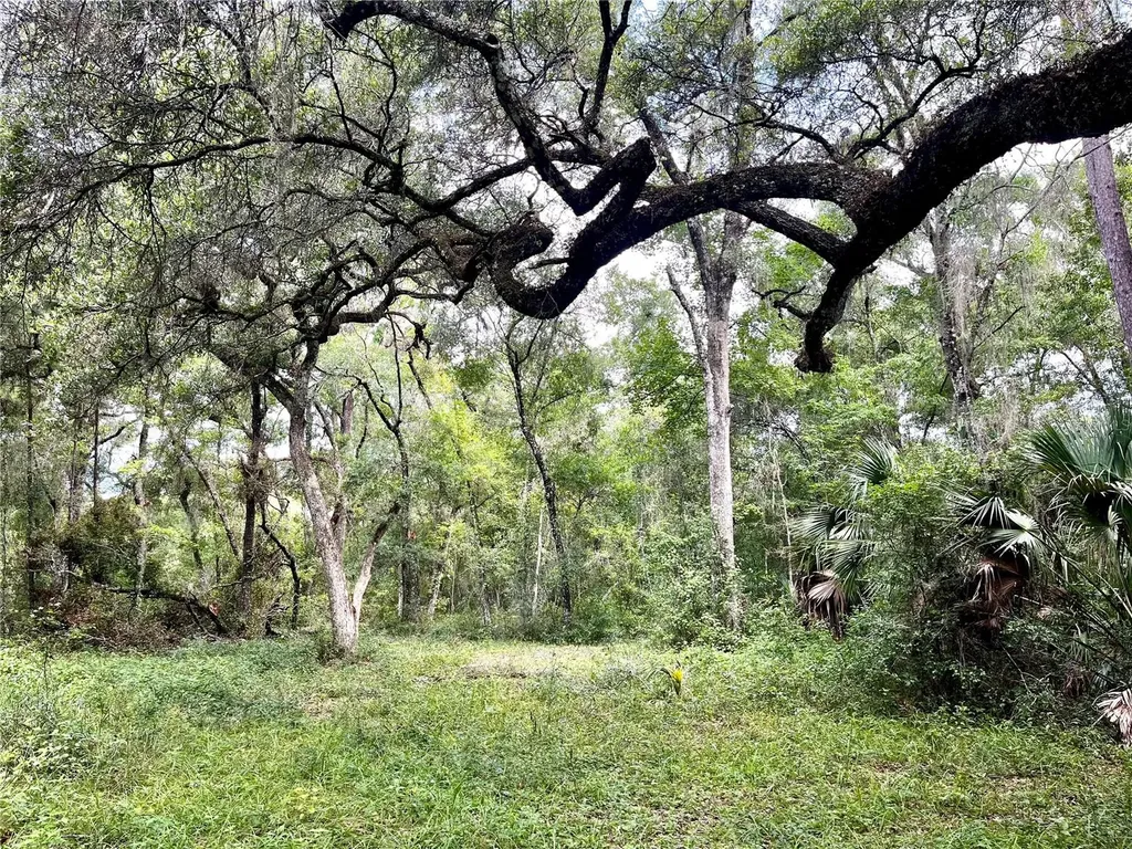 Tbd NW 127th Court Ocala FL 34482