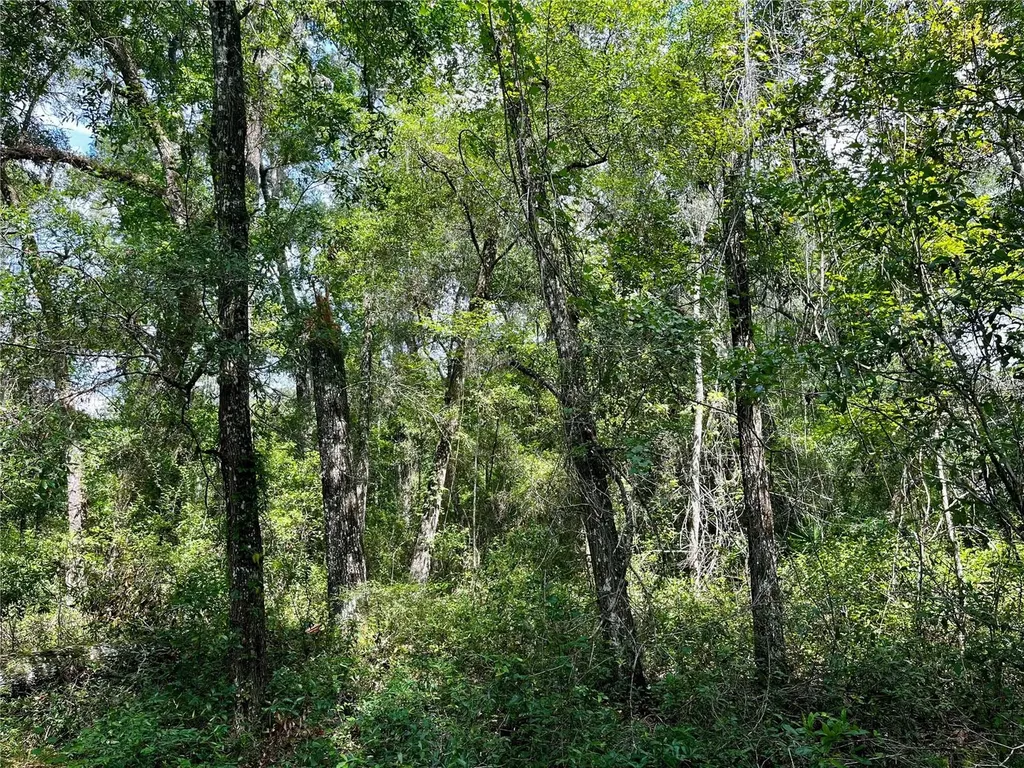 Tbd NW 127th Court Ocala FL 34482