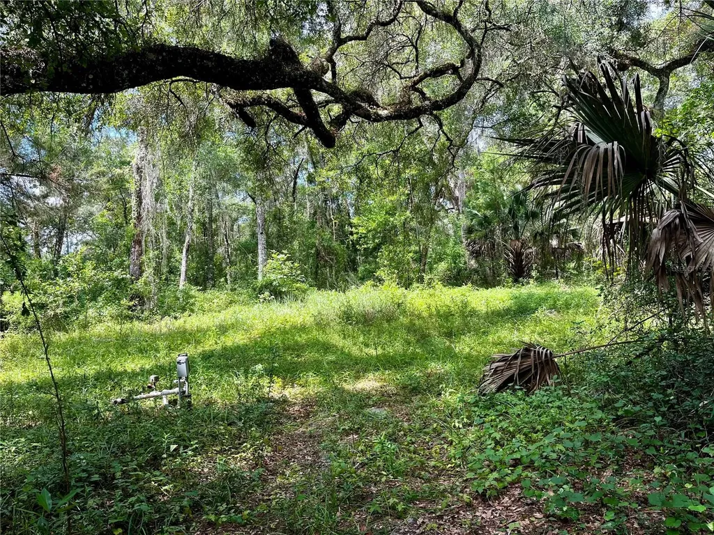 Tbd NW 127th Court Ocala FL 34482