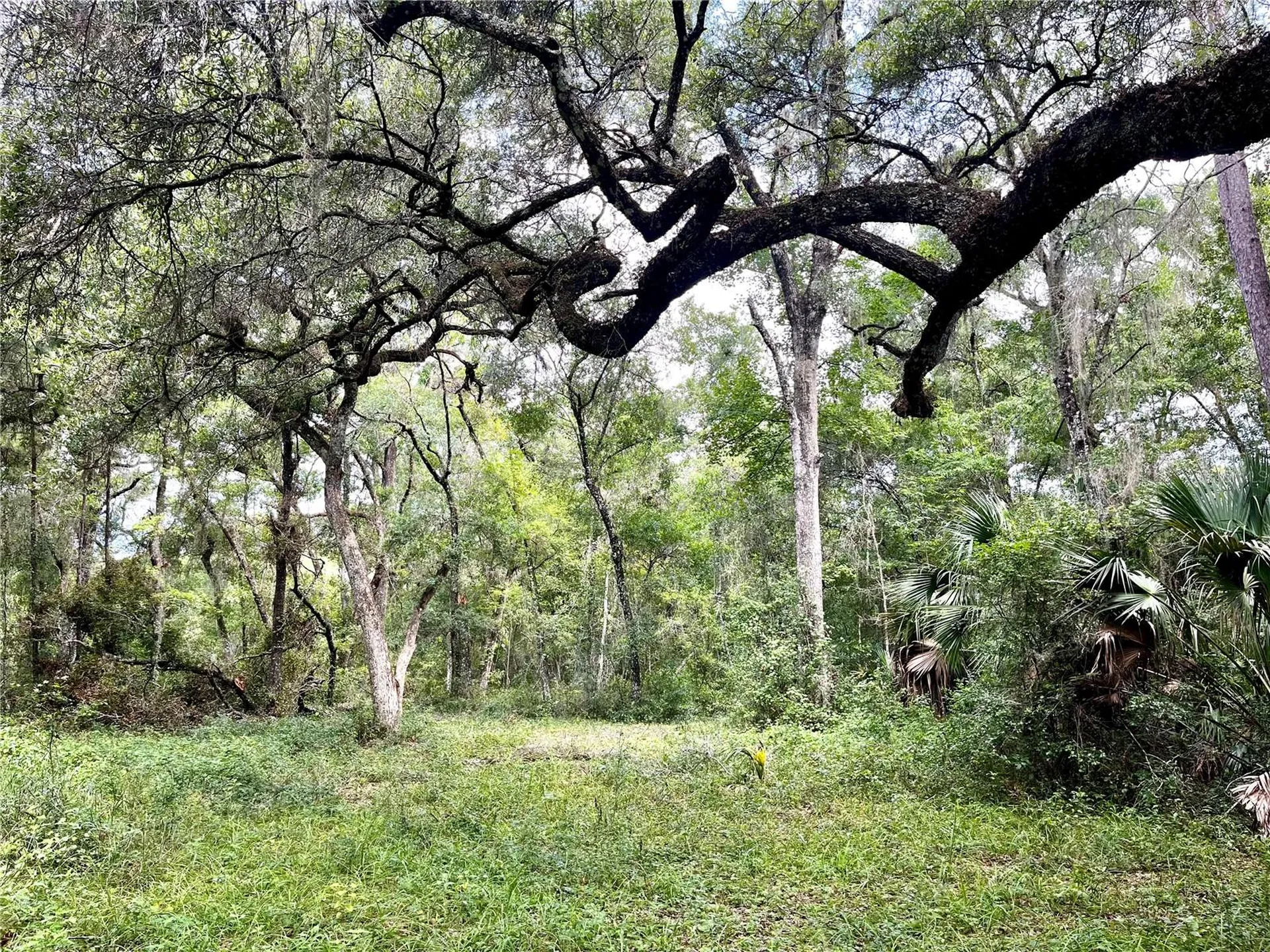 Tbd NW 127th Court Ocala FL 34482