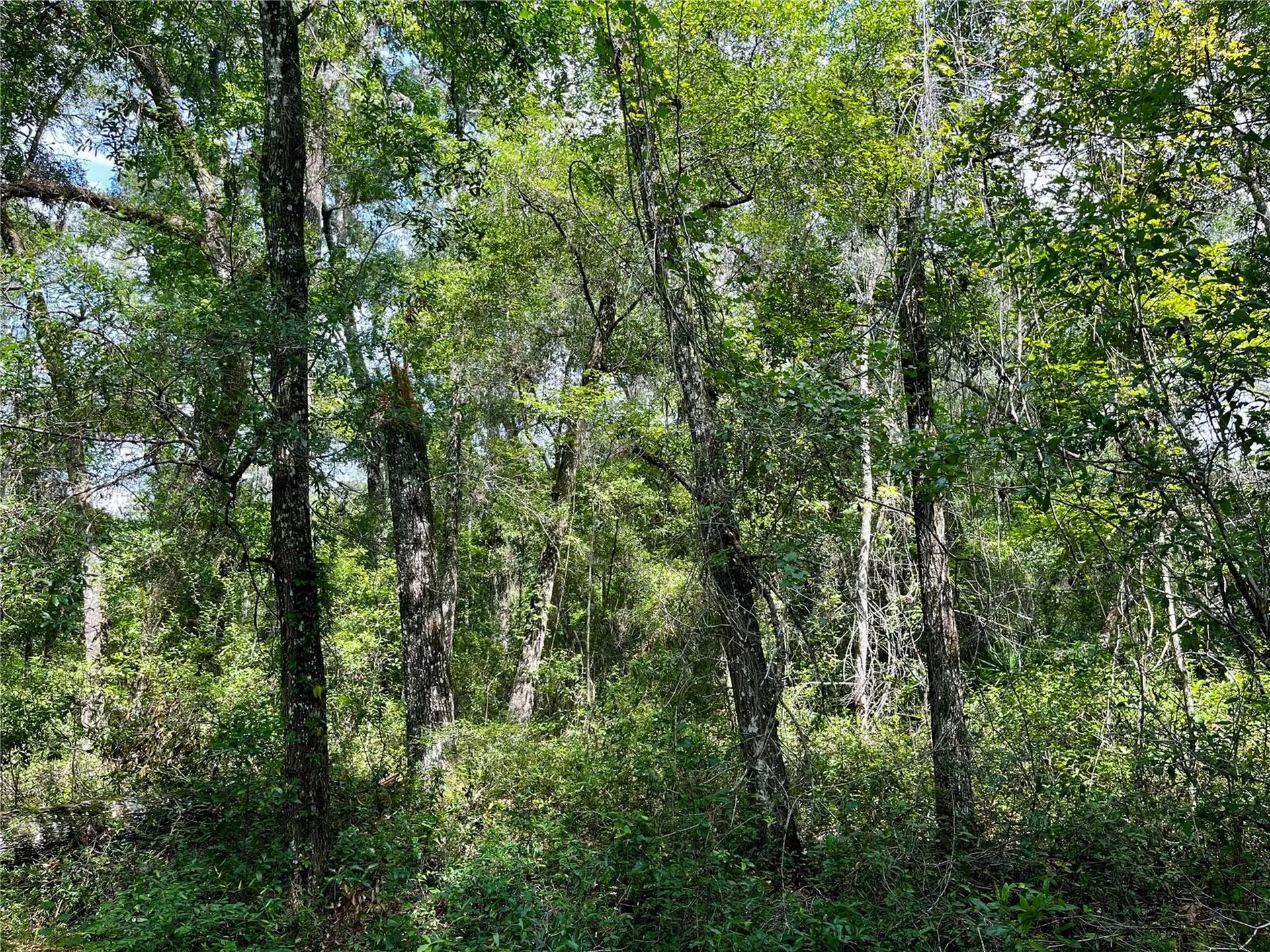 Tbd NW 127th Court Ocala FL 34482