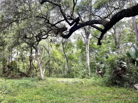 Tbd NW 127th Court Ocala FL 34482