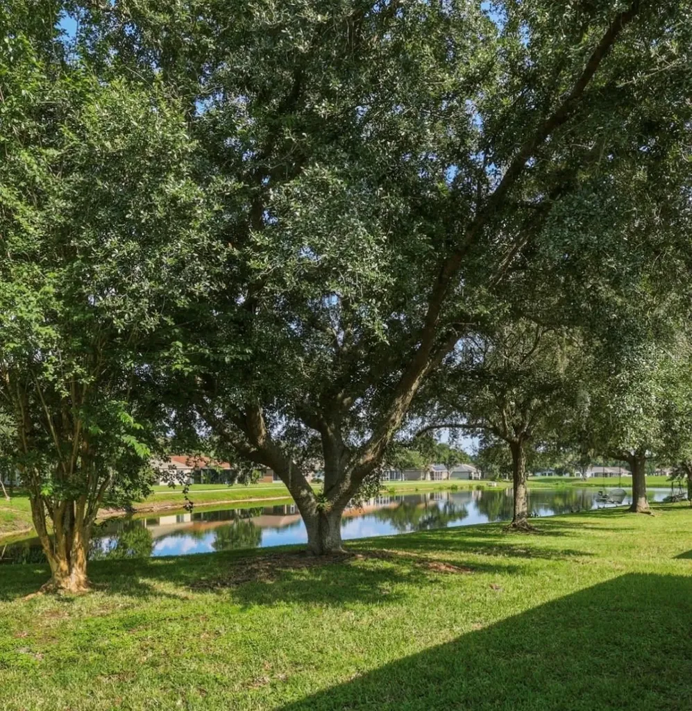 18165 Canal Pointe Street Tampa FL 33647