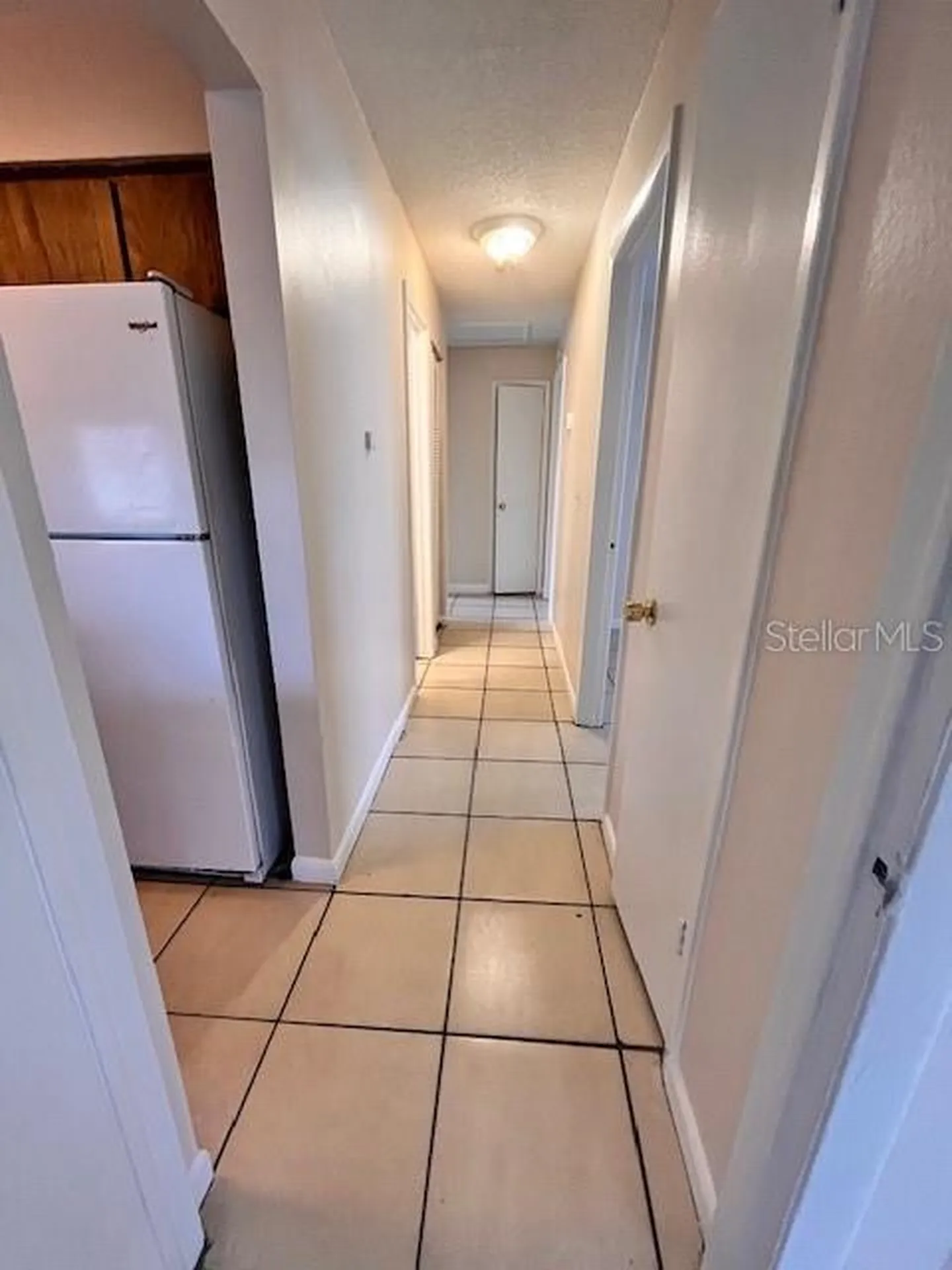 8518 N Lynn Avenue Tampa FL 33604