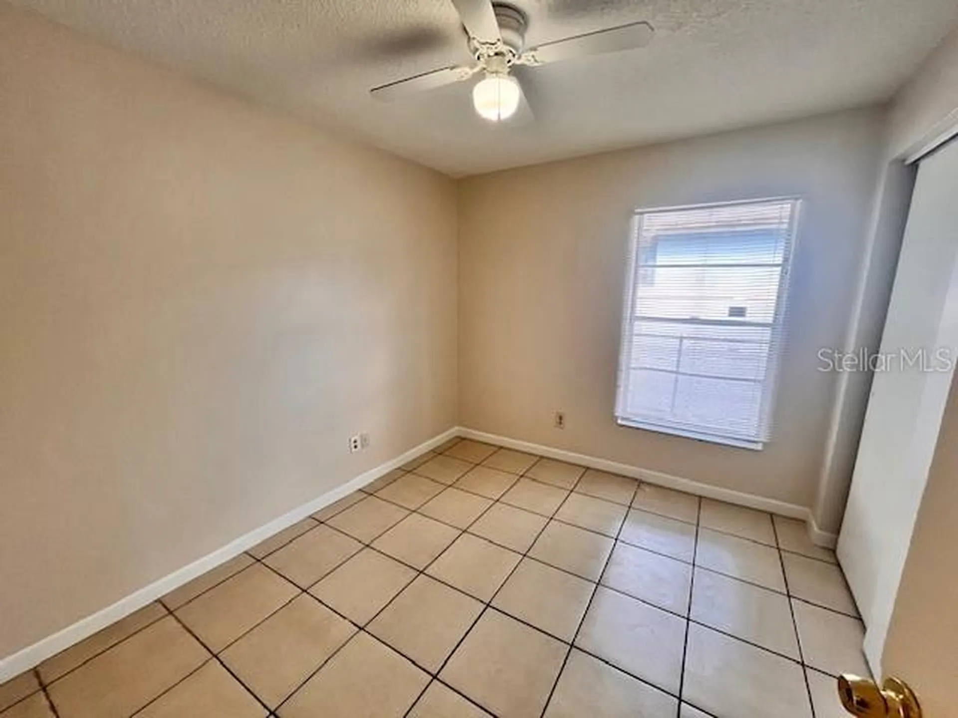 8518 N Lynn Avenue Tampa FL 33604