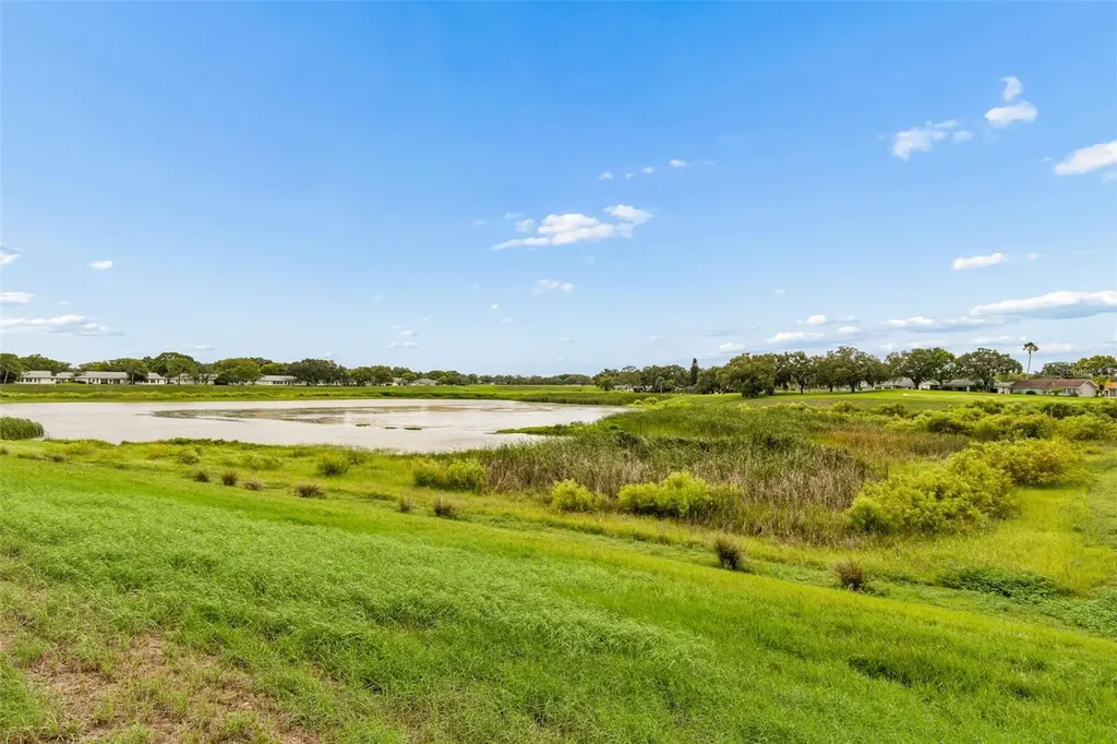 11110 Carriage Hill Drive Port Richey FL 34668