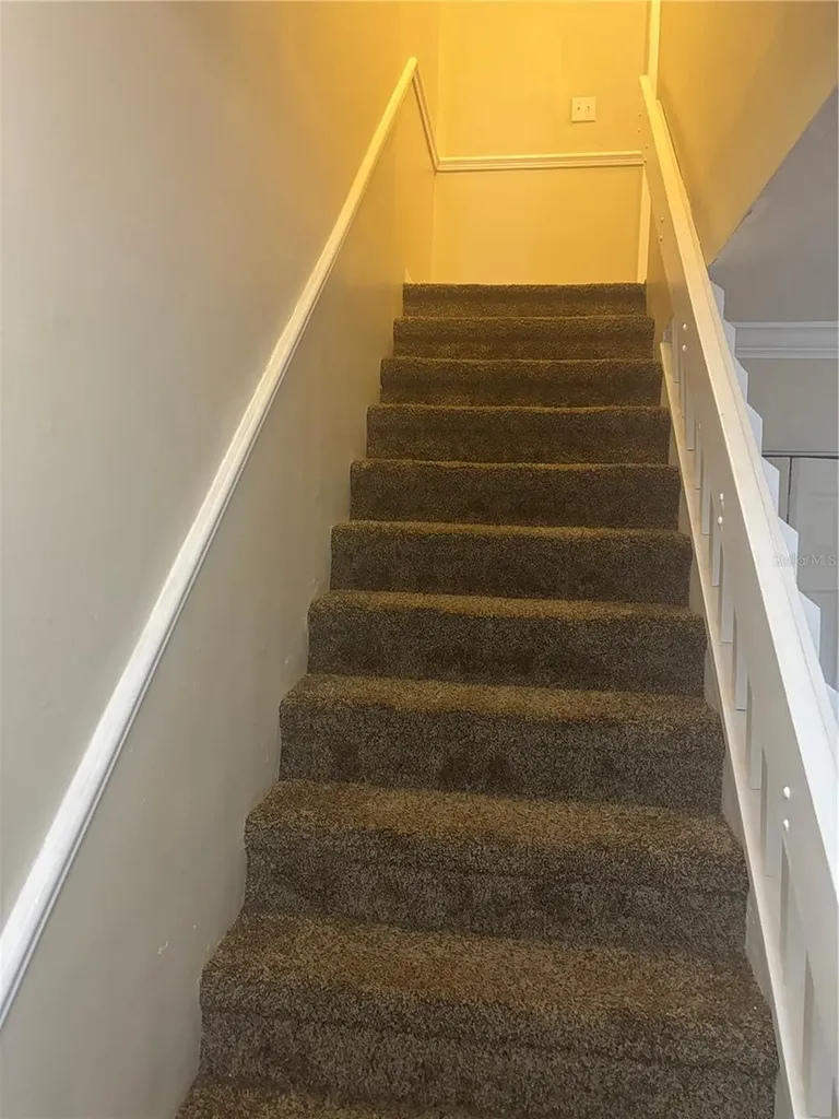1320 Mountainview Tampa FL 33612
