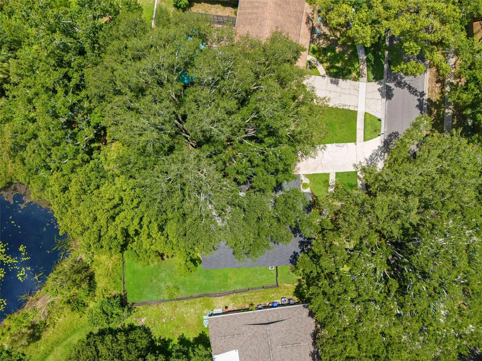 15521 Wetstone Drive Tampa FL 33613
