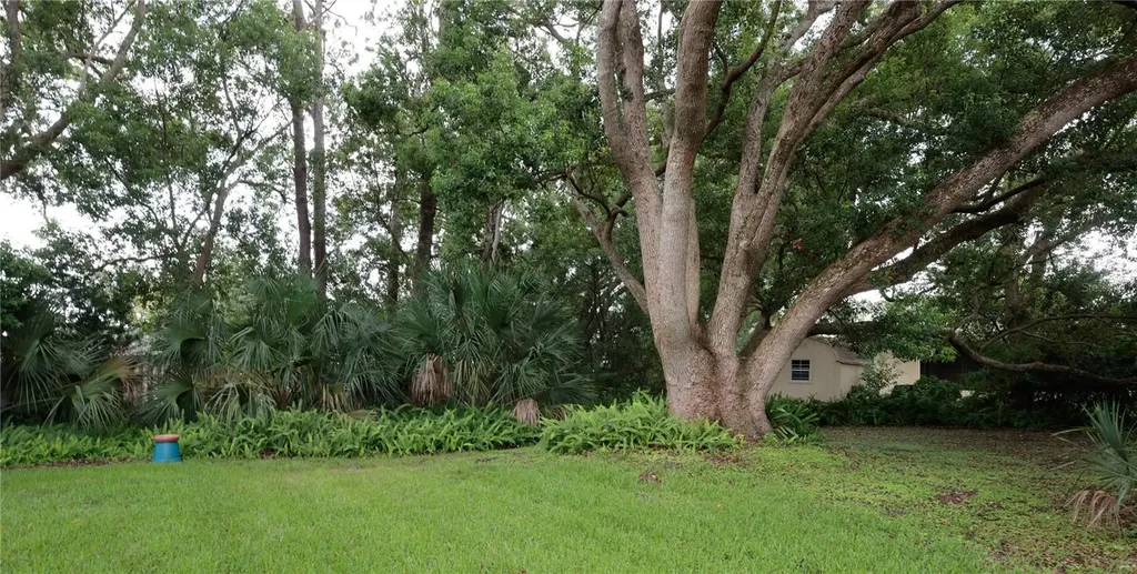 2132 Portside Passage Palm Harbor FL 34685