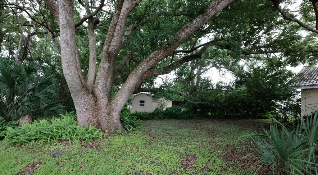 2132 Portside Passage Palm Harbor FL 34685