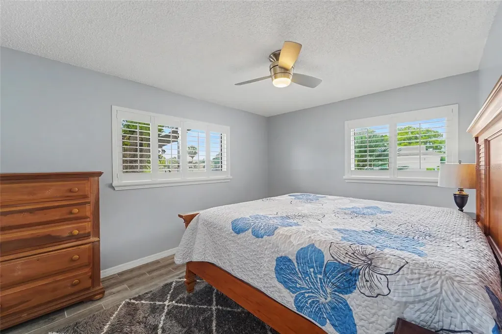 1496 Queen Anne Drive Palm Harbor FL 34684