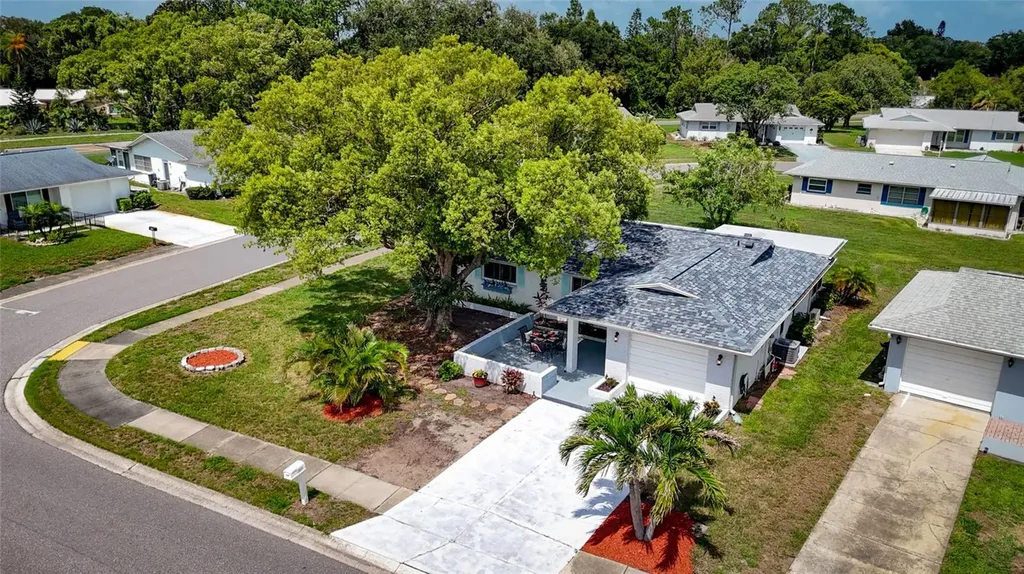 1496 Queen Anne Drive Palm Harbor FL 34684