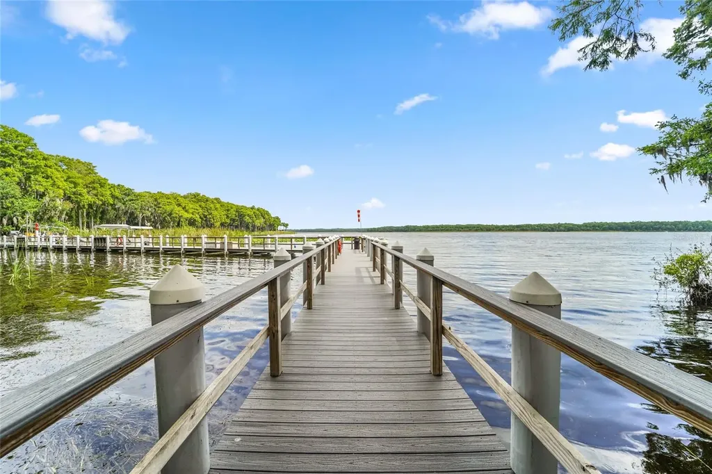 1496 Queen Anne Drive Palm Harbor FL 34684