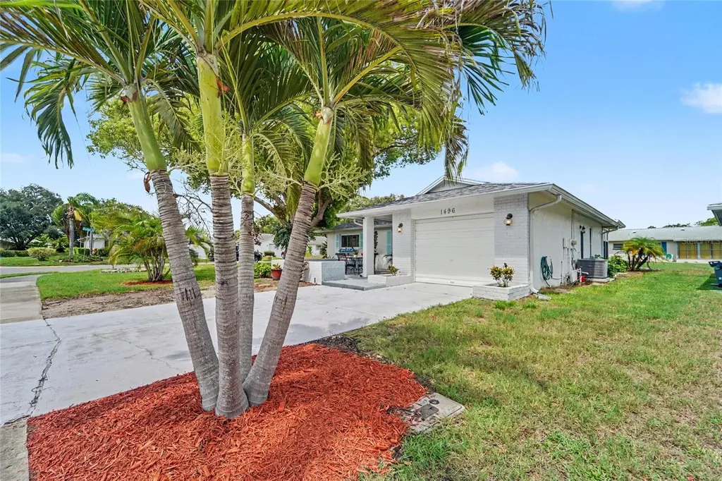 1496 Queen Anne Drive Palm Harbor FL 34684