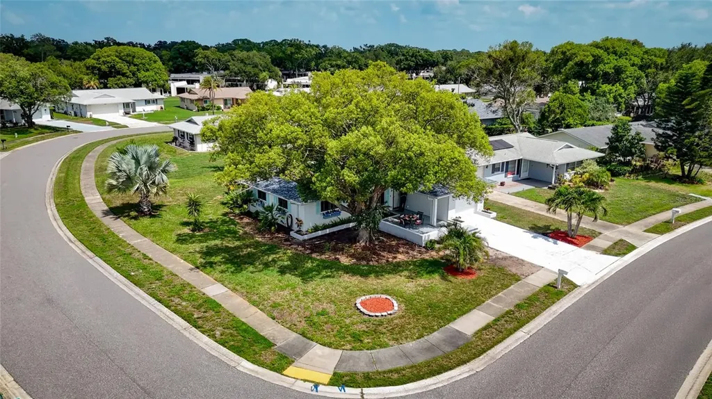 1496 Queen Anne Drive Palm Harbor FL 34684