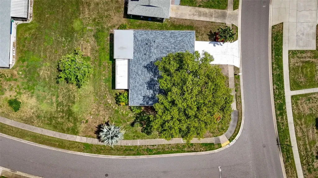 1496 Queen Anne Drive Palm Harbor FL 34684