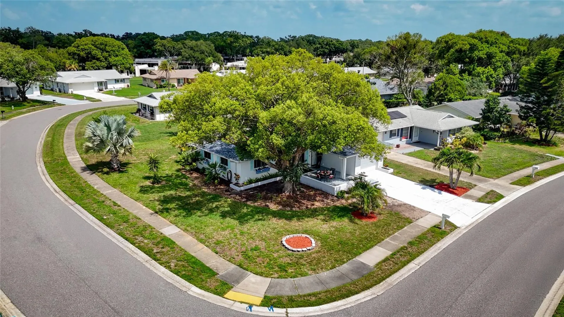 1496 Queen Anne Drive Palm Harbor FL 34684