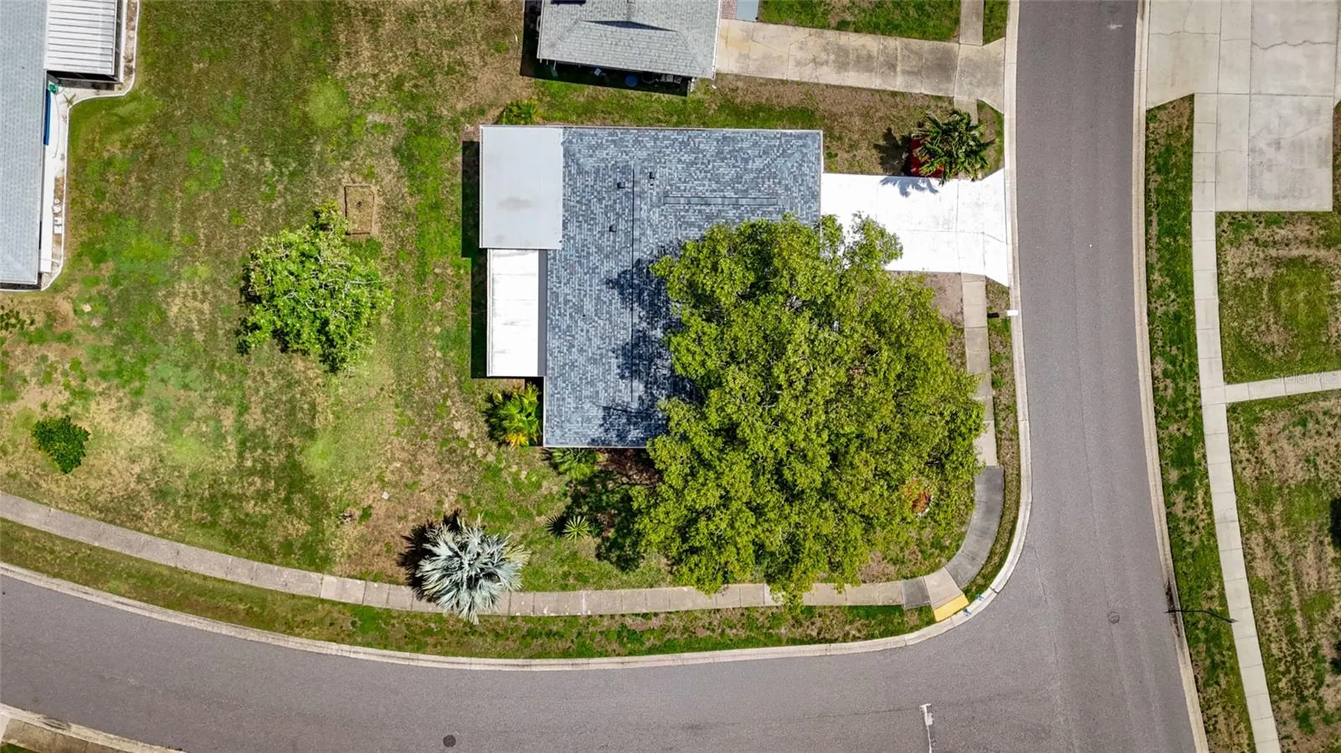 1496 Queen Anne Drive Palm Harbor FL 34684