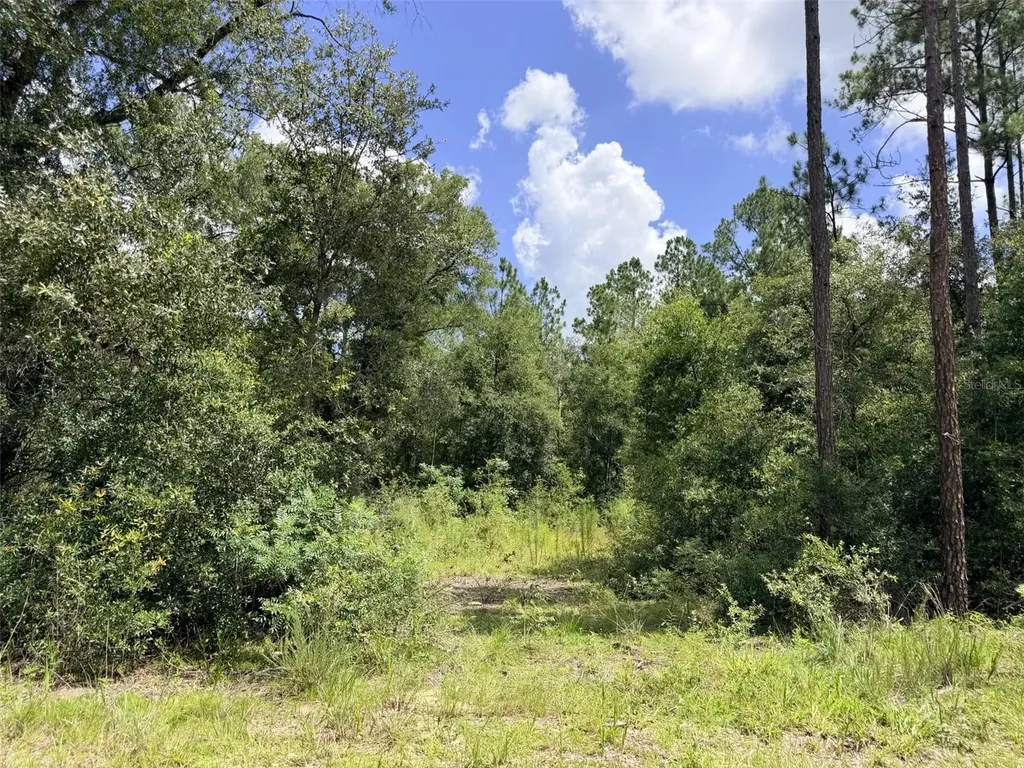 0 NE 77 Place Bronson FL 32621