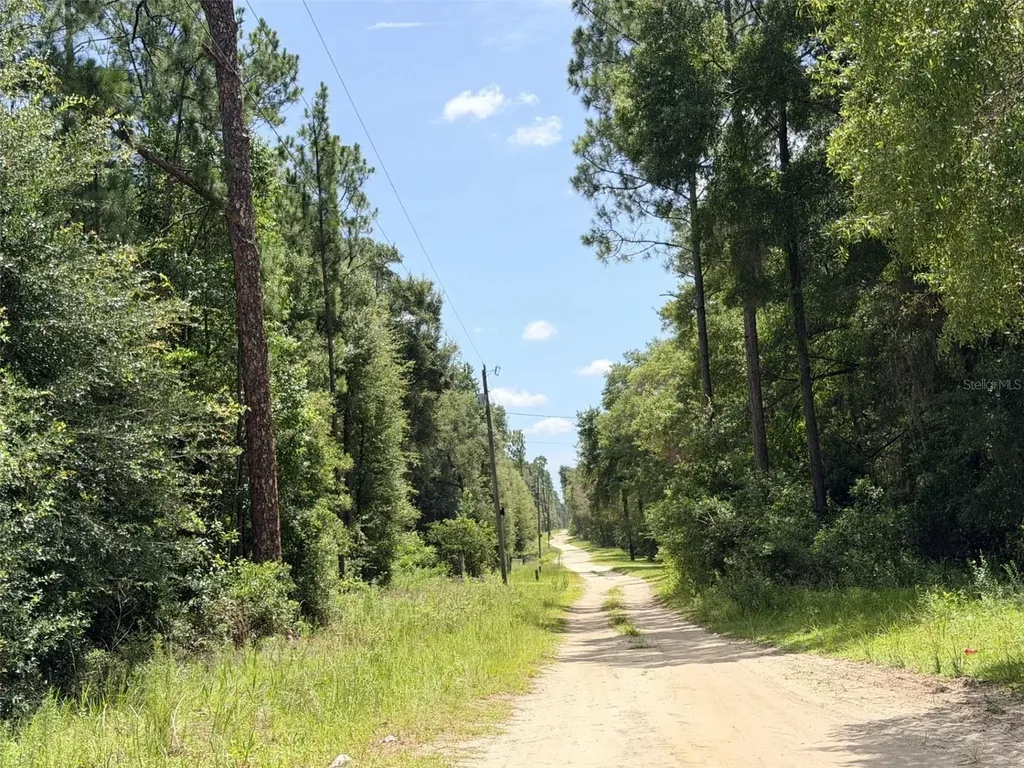 0 NE 77 Place Bronson FL 32621