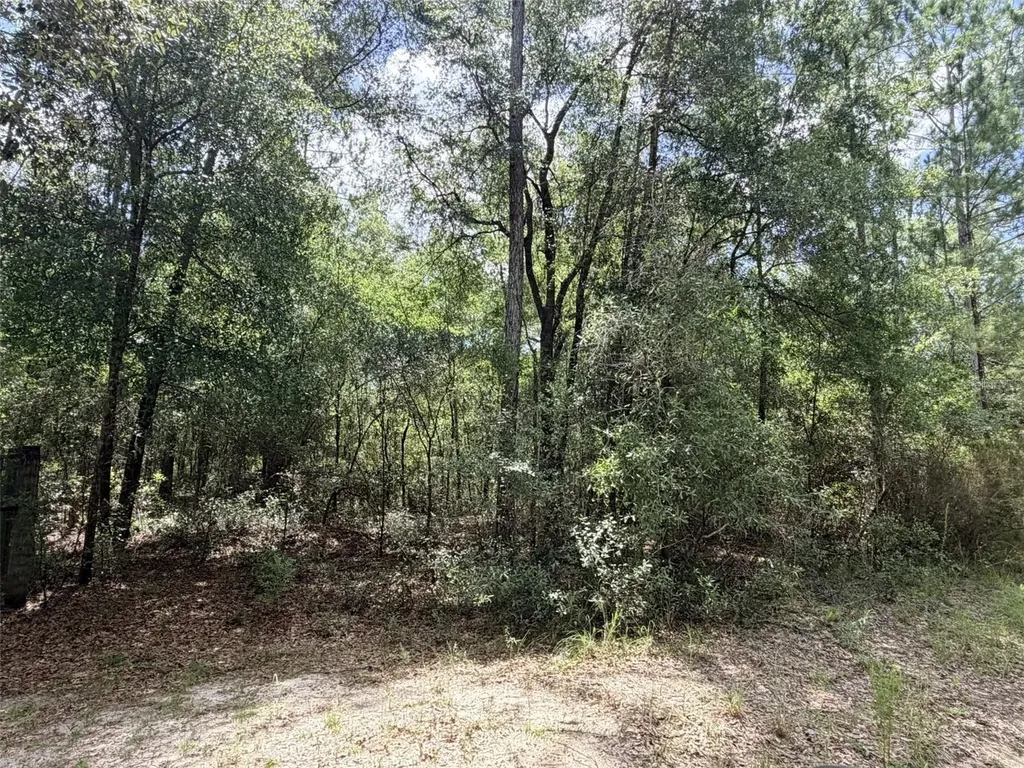 0 NE 77 Place Bronson FL 32621