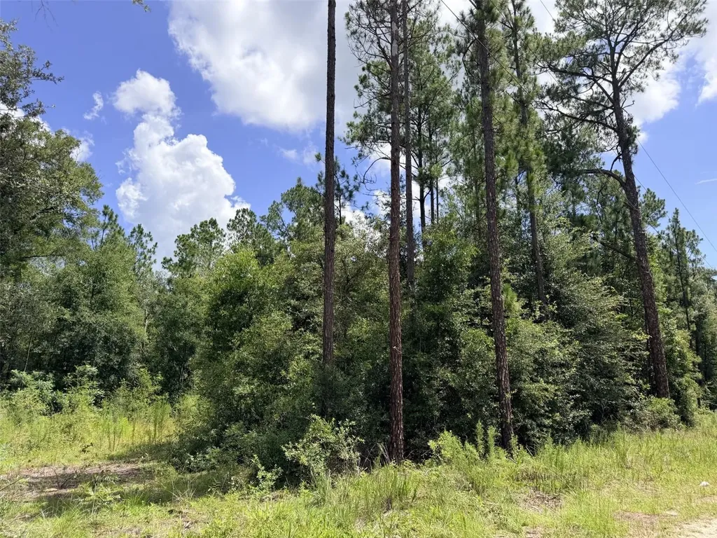 0 NE 77 Place Bronson FL 32621