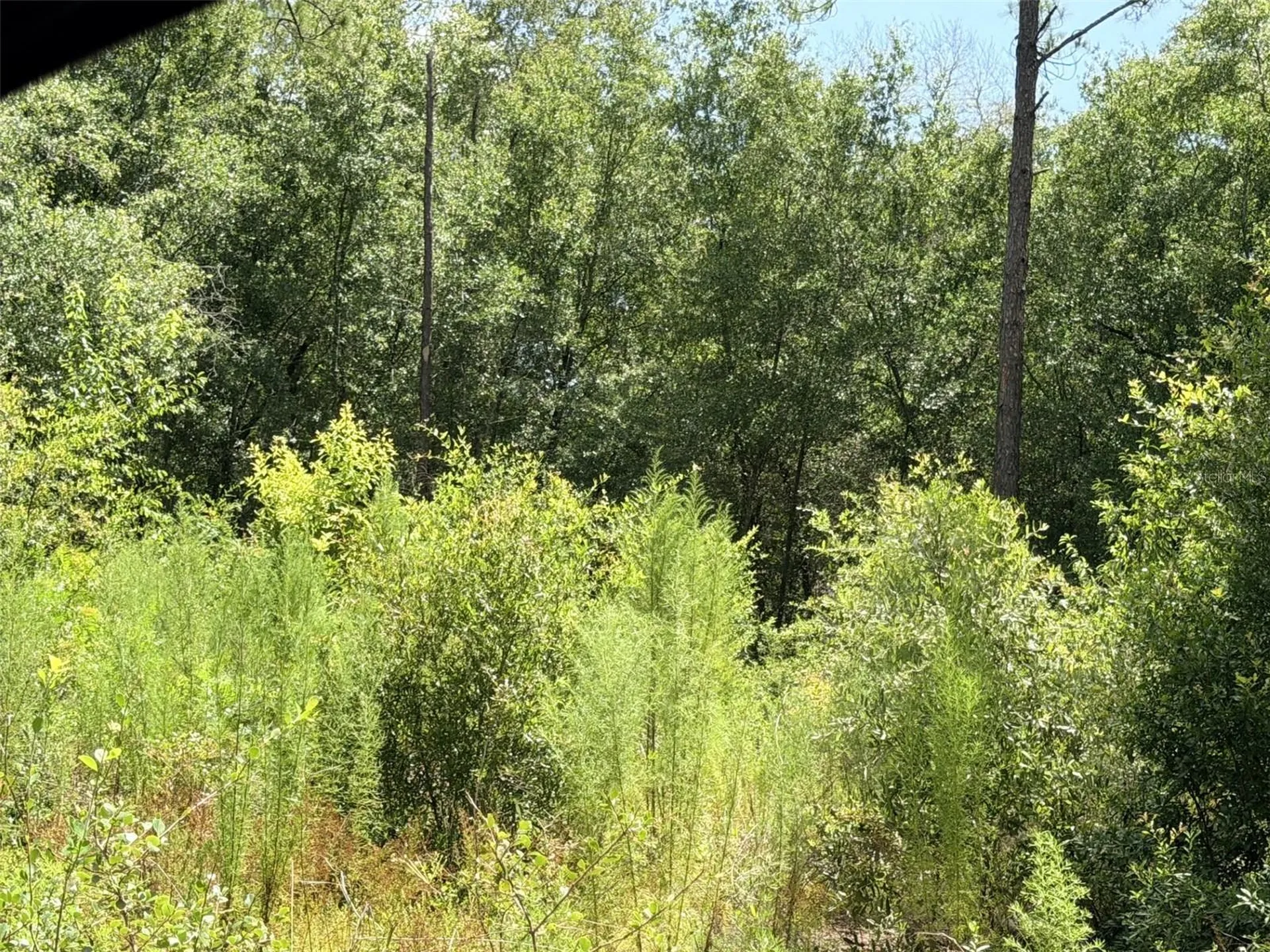 0 NE 77 Place Bronson FL 32621