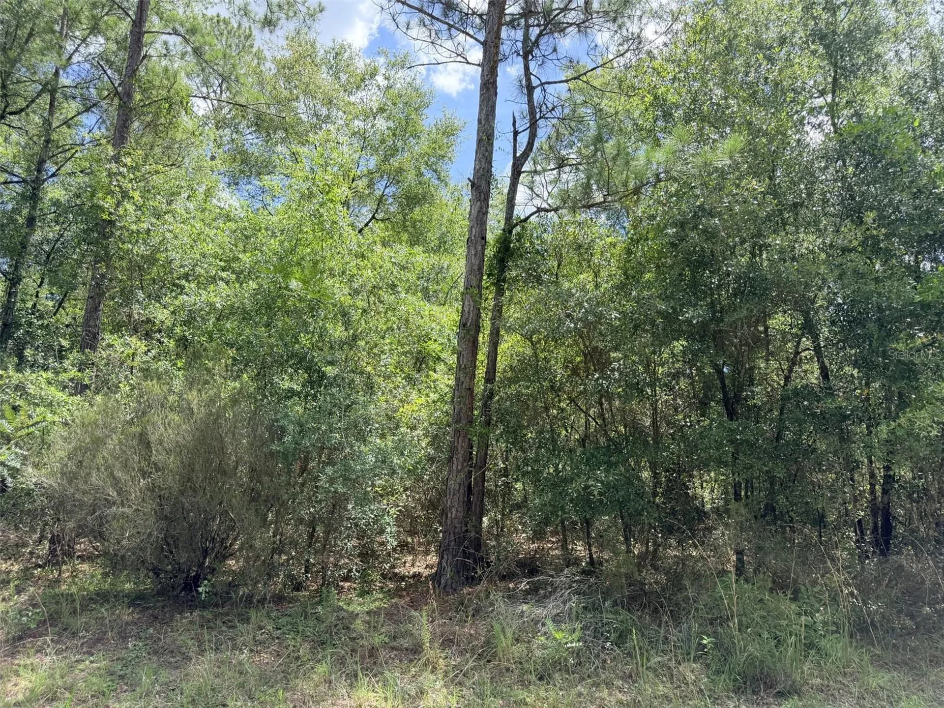 0 NE 77 Place Bronson FL 32621