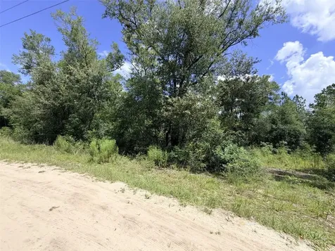 0 NE 77 Place Bronson FL 32621